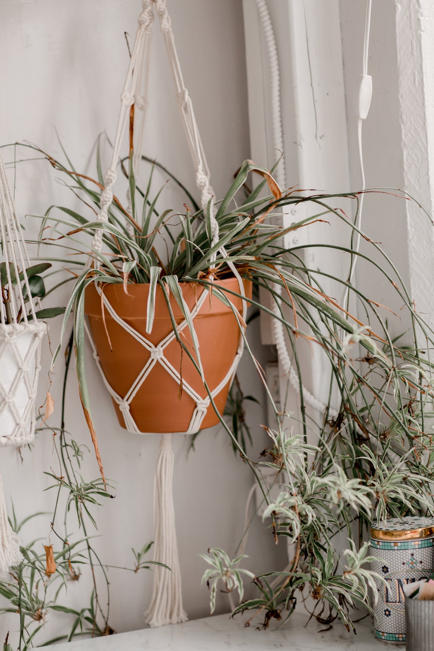 Home Decor & Furniture